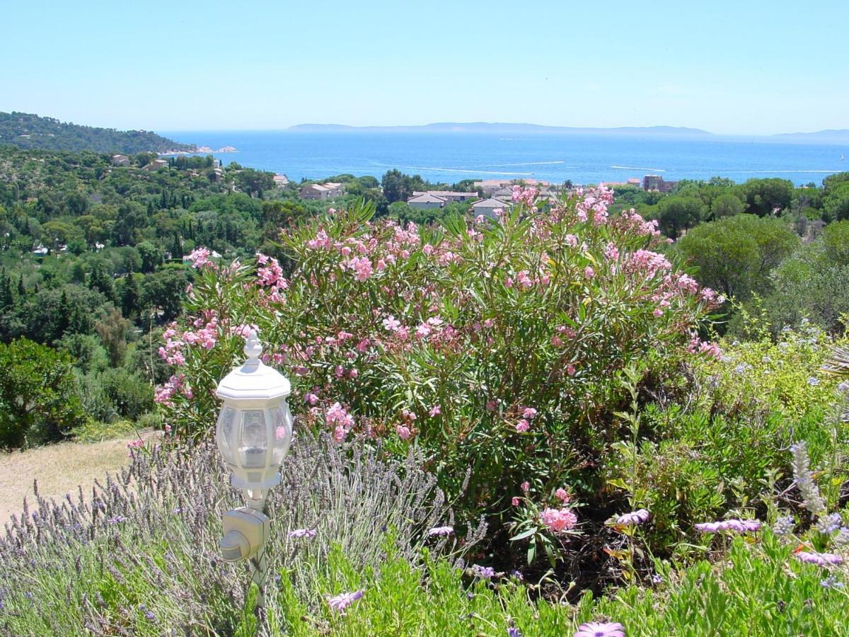 Azur Hotel Le Lavandou Eksteriør billede