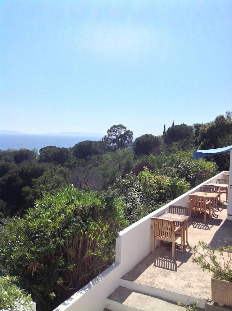 Azur Hotel Le Lavandou Eksteriør billede