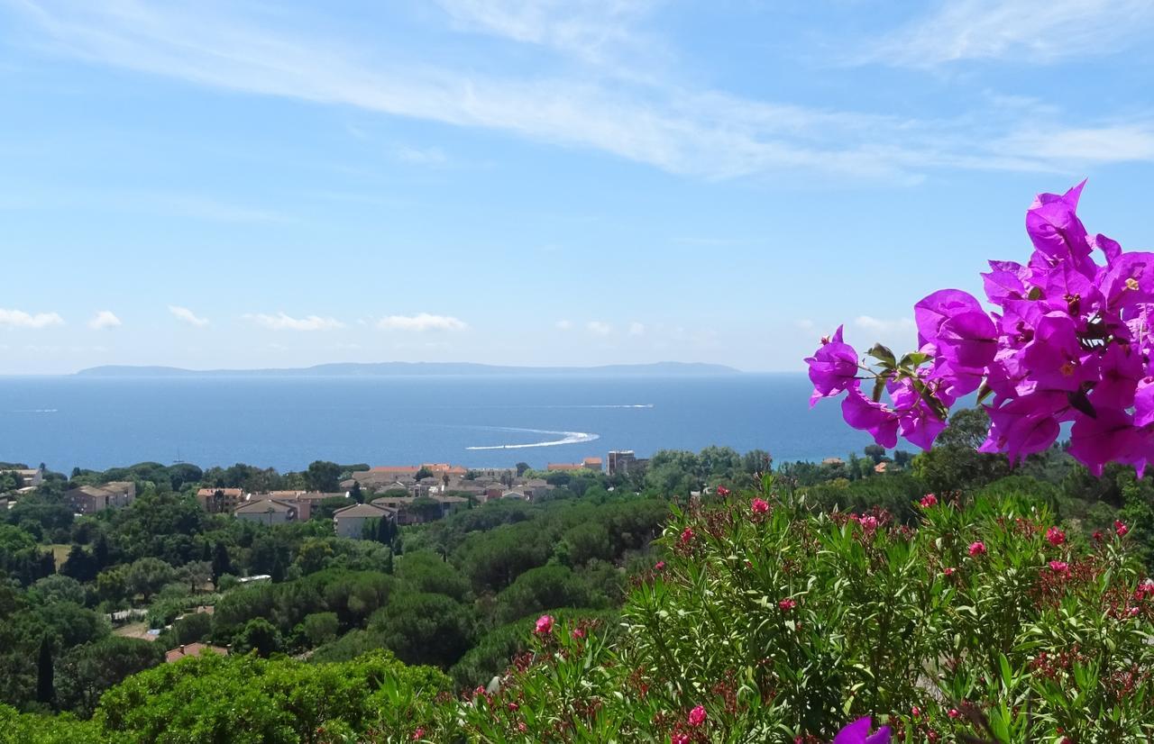 Azur Hotel Le Lavandou Eksteriør billede