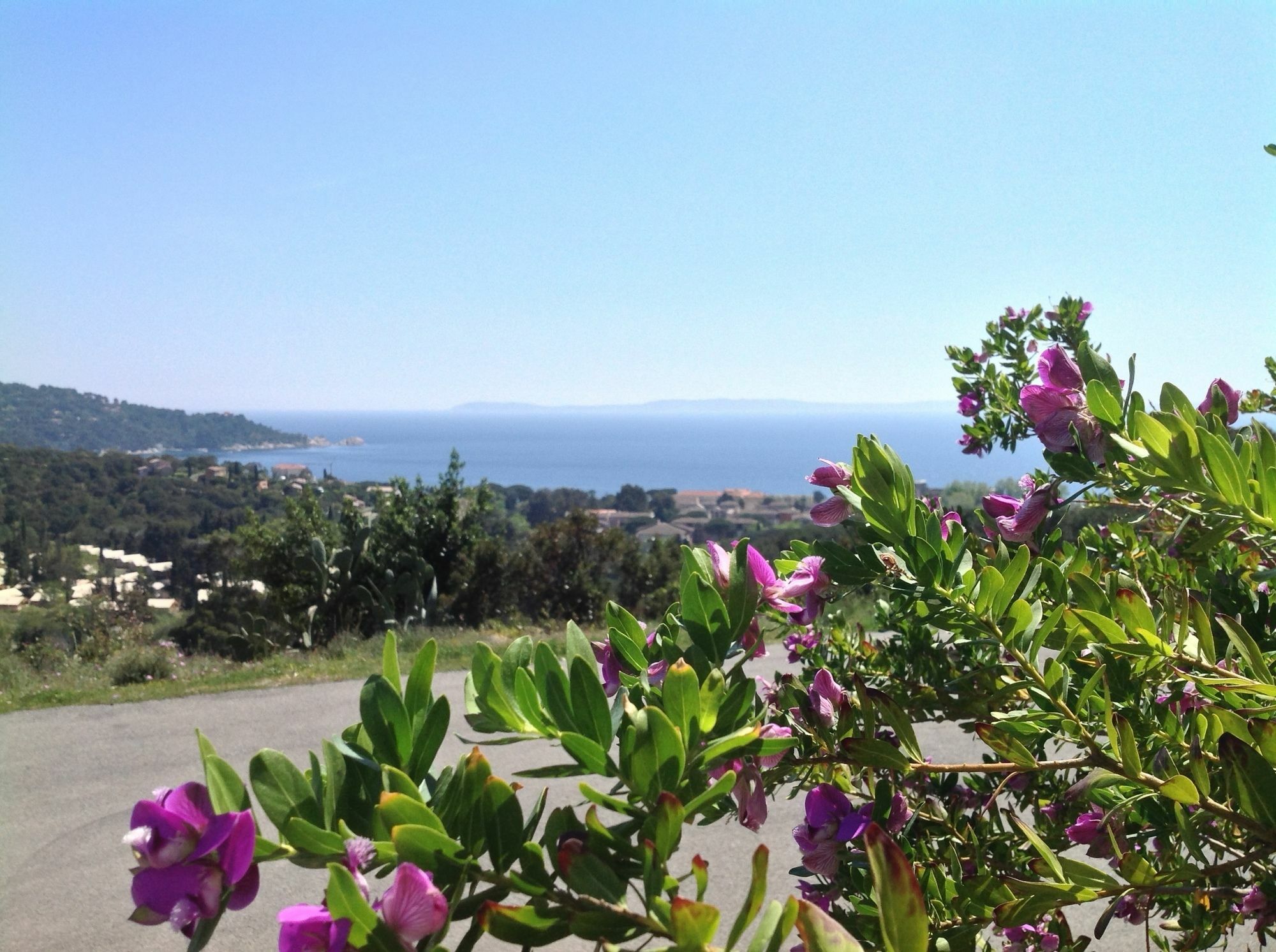 Azur Hotel Le Lavandou Eksteriør billede