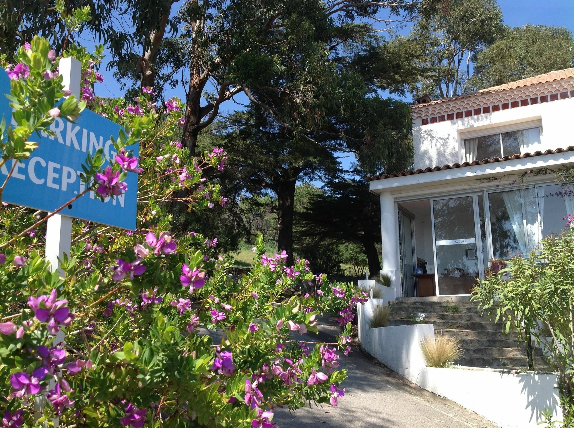 Azur Hotel Le Lavandou Eksteriør billede