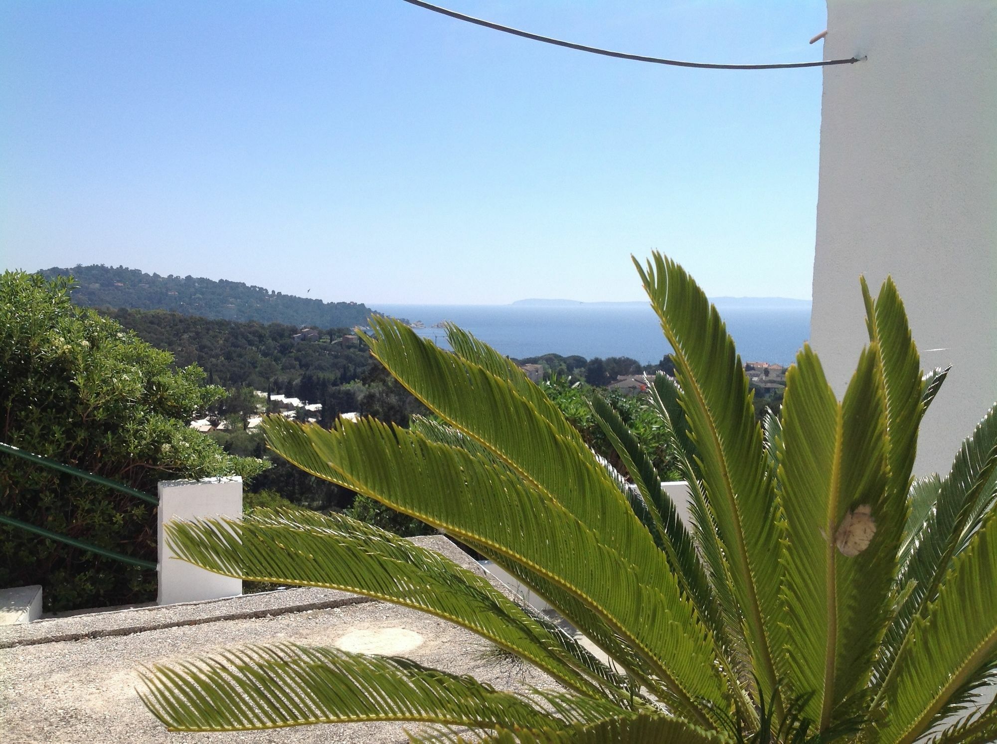 Azur Hotel Le Lavandou Eksteriør billede