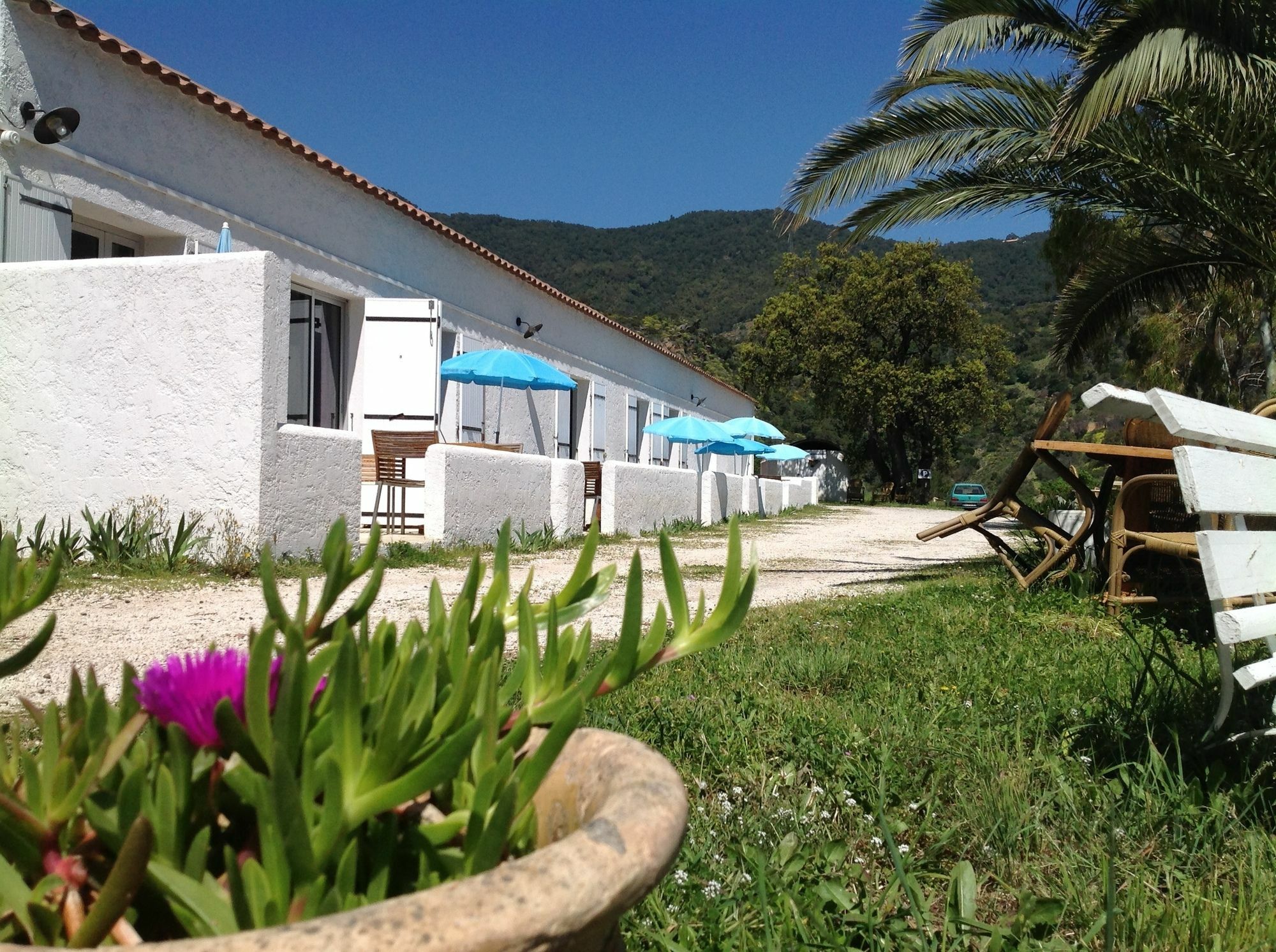 Azur Hotel Le Lavandou Eksteriør billede
