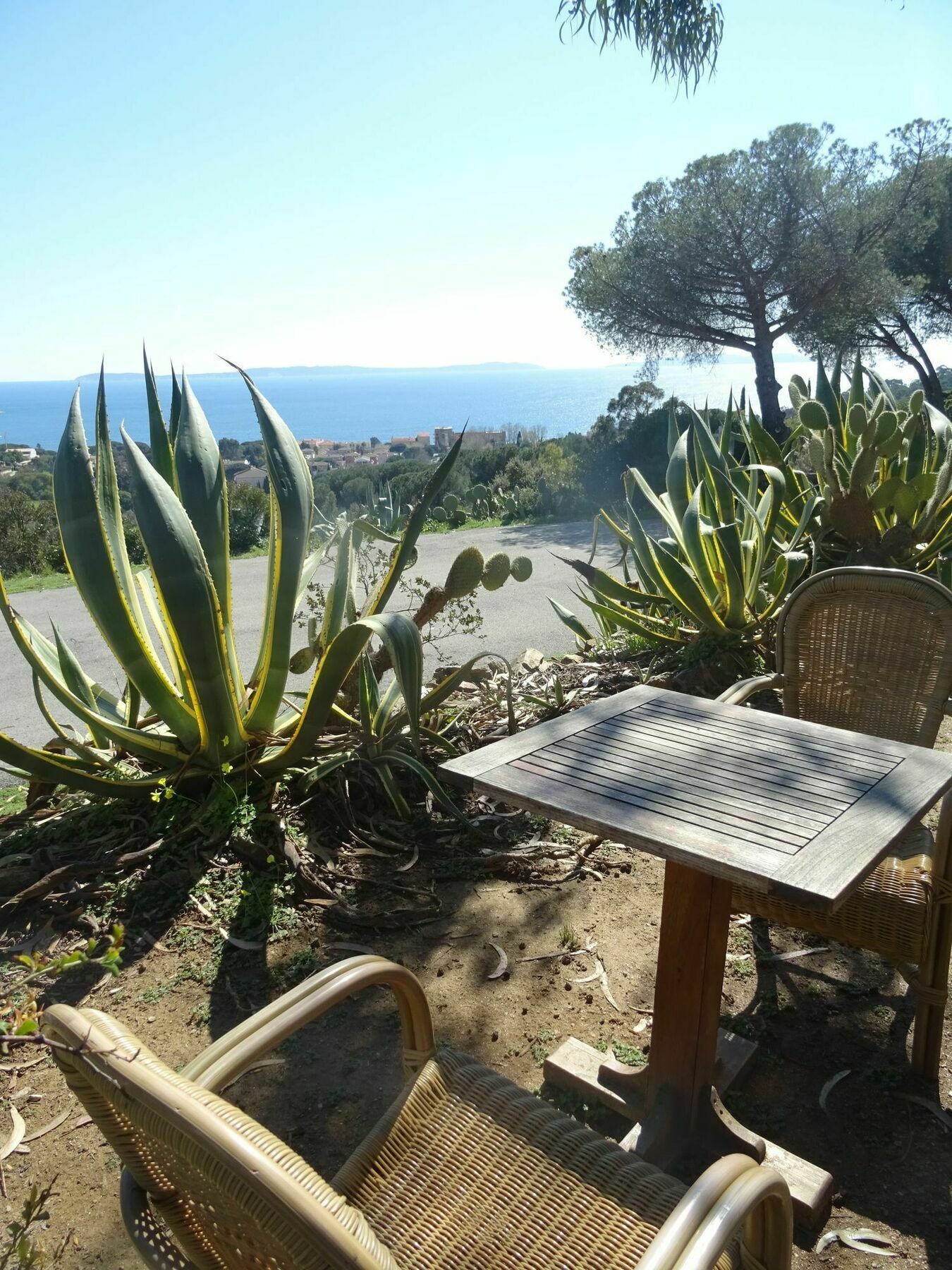 Azur Hotel Le Lavandou Eksteriør billede