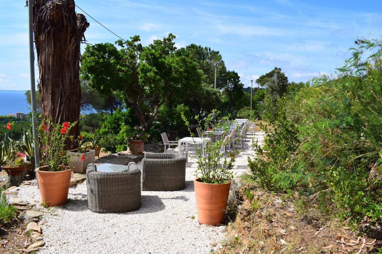 Azur Hotel Le Lavandou Eksteriør billede